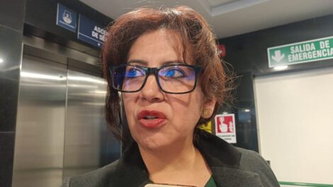 Ley corta elecciones judiciales según Ana María Castillo