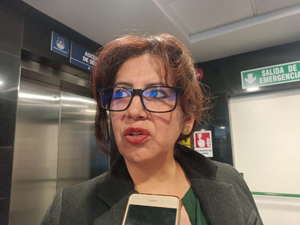 Ley corta elecciones judiciales según Ana María Castillo