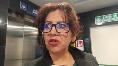 Ley corta para elecciones judiciales según Ana María Castillo