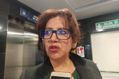 Ley corta para elecciones judiciales según Ana María Castillo