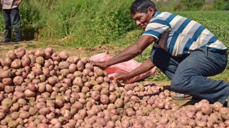 Aumento de precios canasta familiar