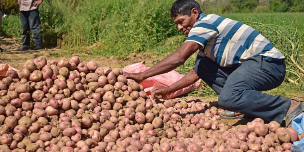 Aumento de precios canasta familiar