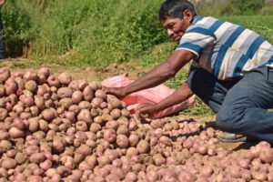 Aumento de precios canasta familiar