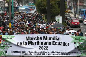 Despenalización de drogas y su impacto en Ecuador