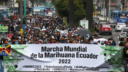 Despenalización de drogas y su impacto en Ecuador