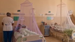 Aumento de casos de dengue en Cochabamba