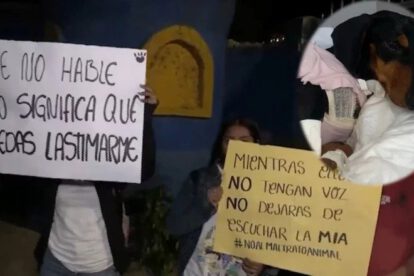Joni perro salchicha baleado en la Escuela de Idiomas del Ejército