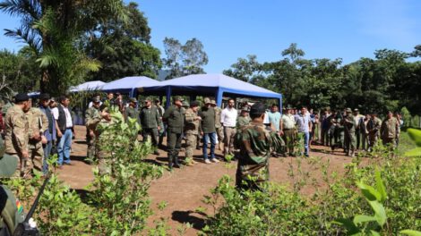 Parque Amboró libre de cultivos ilegales de coca