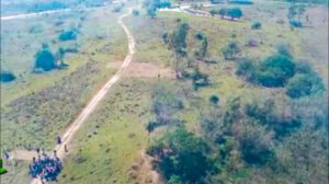 Avasallamientos en Santa Cruz amenazan 70 mil hectáreas