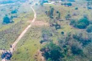 Avasallamientos en Santa Cruz amenazan 70 mil hectáreas