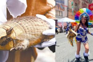 Prohibición de derivados de animales en la Entrada del Gran Poder