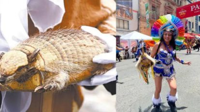 Prohibición de derivados de animales en la Entrada del Gran Poder