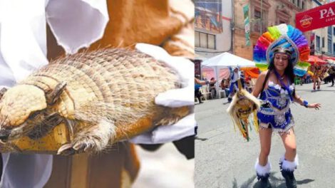 Prohibición de derivados de animales en la Entrada del Gran Poder