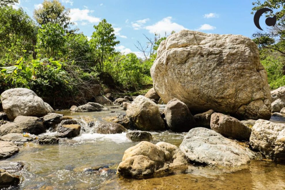 Gestión del agua y sostenibilidad