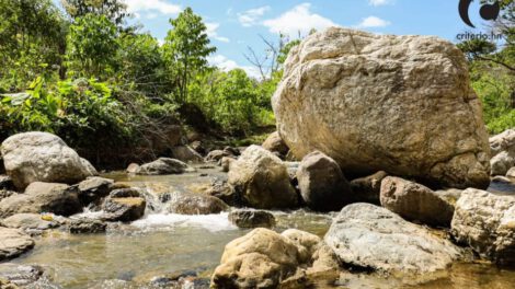 Gestión del agua y sostenibilidad