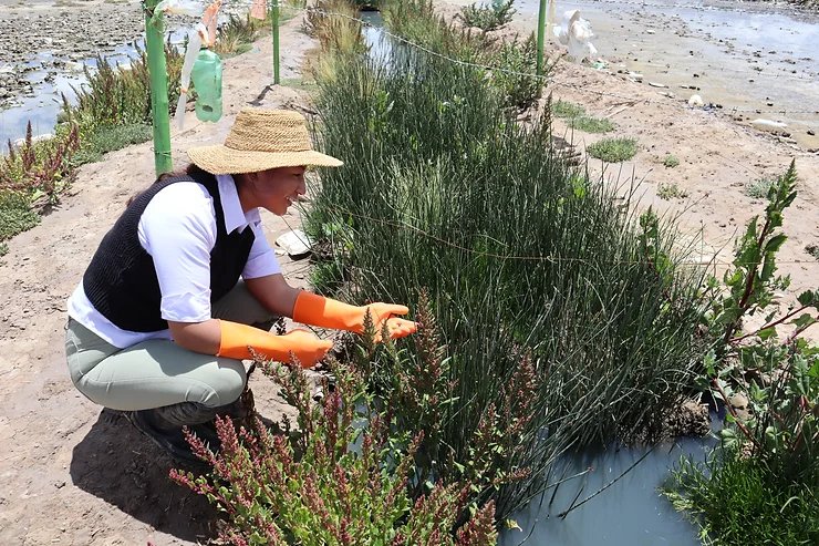 Uru Uru Team lidera la conservación ambiental en el lago Uru Uru