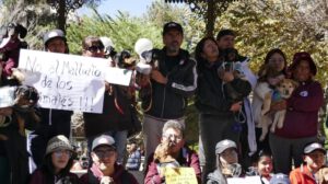 Justicia por Joni, el can salchicha herido en Santa Cruz
