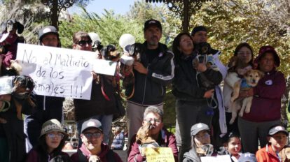 Justicia por Joni, el can salchicha herido en Santa Cruz