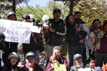 Justicia por Joni, el can salchicha herido en Santa Cruz