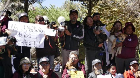 Justicia por Joni, el can salchicha herido en Santa Cruz