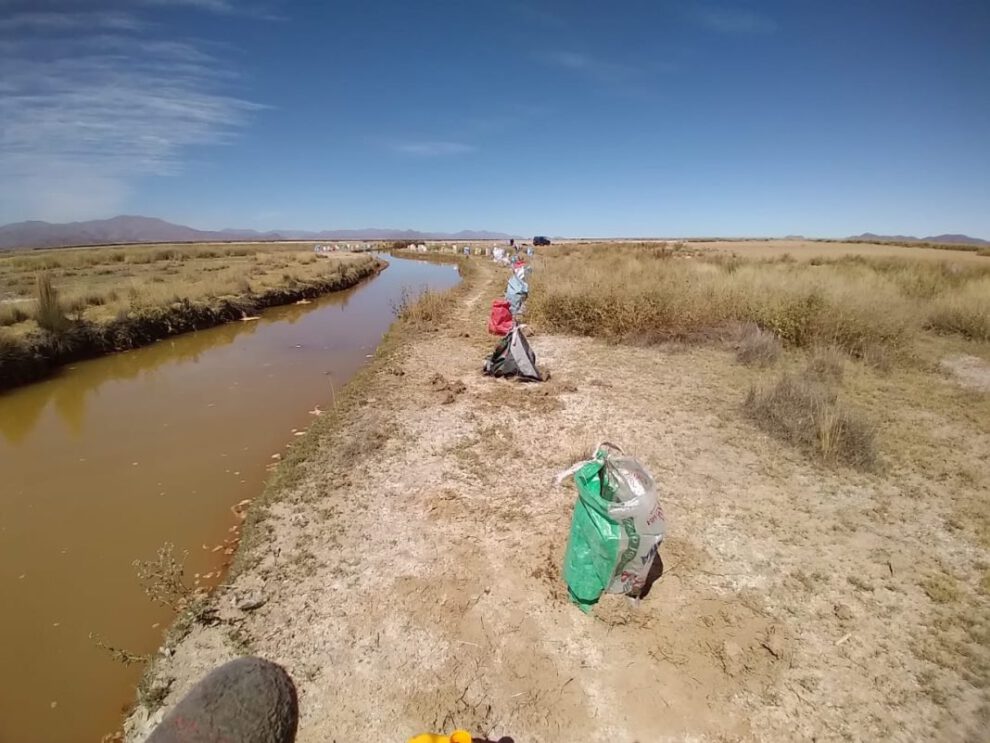 Proyecto Murallas de Árboles en el lago Uru Uru