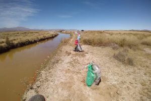 Proyecto Murallas de Árboles en el lago Uru Uru