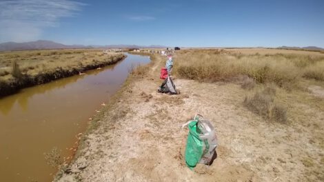 Proyecto Murallas de Árboles en el lago Uru Uru