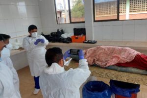 Investigación sobre asesinato en Guayaramerín