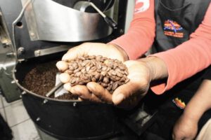 Producción de café en Bolivia