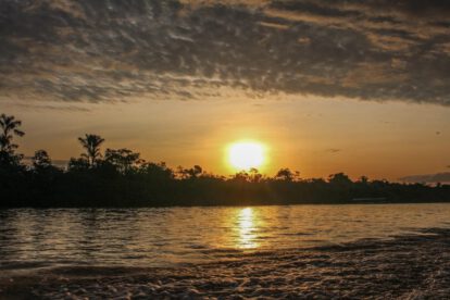 Conservación de la Amazonía