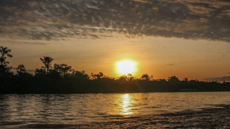 Conservación de la Amazonía