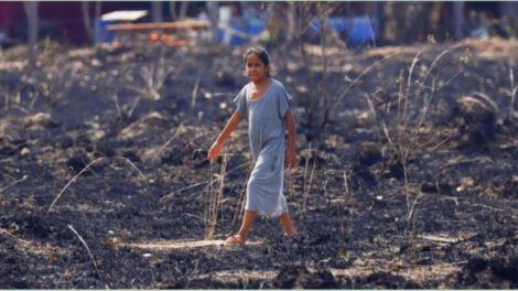 Crisis climática en Latinoamérica afecta a 41 millones de personas