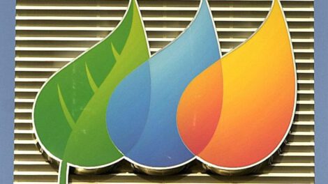 Ley de Restauración de la Naturaleza en la Unión Europea