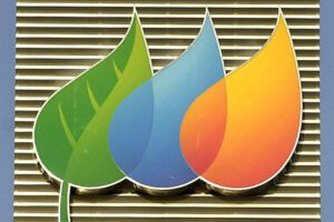 Ley de Restauración de la Naturaleza en la Unión Europea