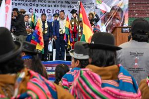 Recurso de revisión TSE presentado por el Pacto de Unidad