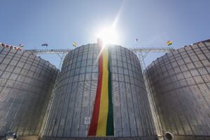 Planta de Transformación de Trigo en Viacha