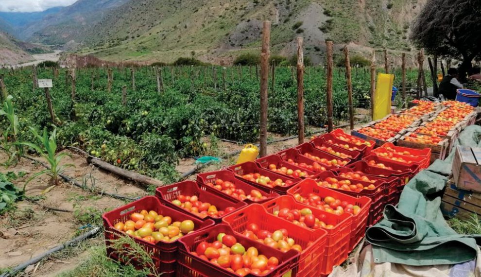 Evento internacional destaca el uso de bioinsumos en la producción agropecuaria en Bolivia