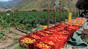 Evento internacional destaca el uso de bioinsumos en la producción agropecuaria en Bolivia