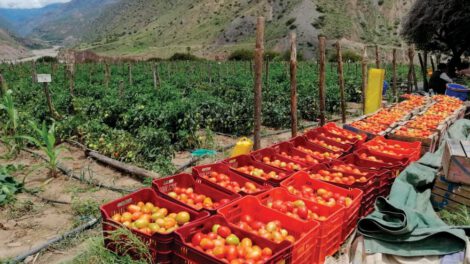 Evento internacional destaca el uso de bioinsumos en la producción agropecuaria en Bolivia