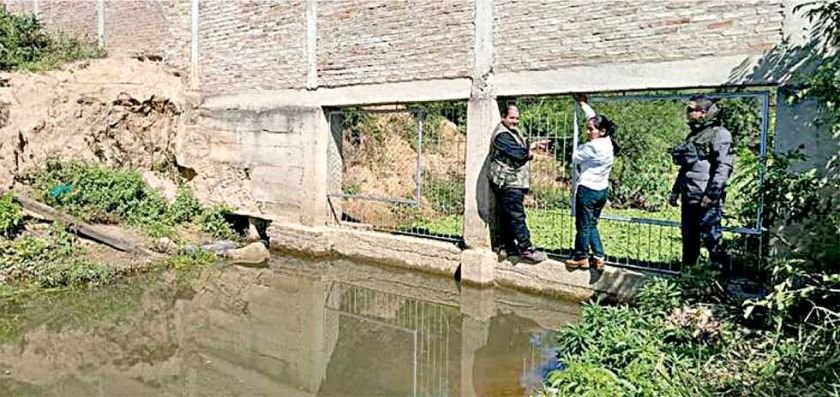 pausa ambiental en Palmasola