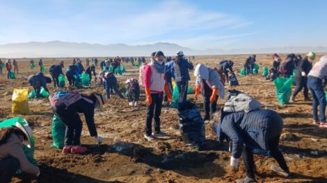 Voluntarios unen esfuerzos para limpiar el lago Uru Uru
