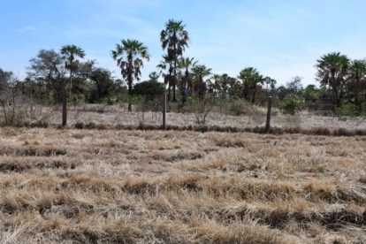 Conflicto agrario en Bolivia por decisión judicial a favor de los Marinkovic