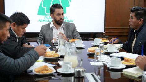 Plan por las Familias Cocaleras del Gobierno