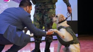 Perro detector de droga Vico en operativo de narcóticos