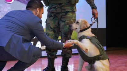 Perro detector de droga Vico en operativo de narcóticos