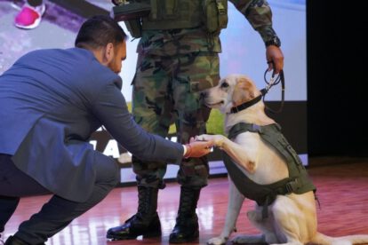 Perro detector de droga Vico en operativo de narcóticos