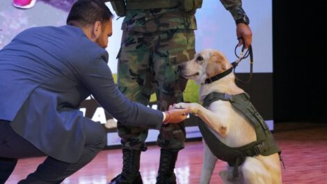 Perro detector de droga Vico en operativo de narcóticos