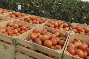 Contrabando de alimentos en Bolivia