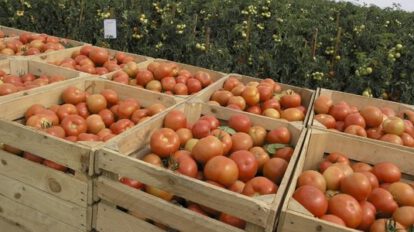 Contrabando de alimentos en Bolivia
