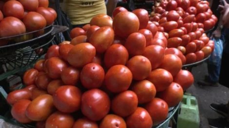 Aumento de precios del tomate en Santa Cruz